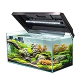 VIALIA Aquarium rechteckig mit Juwel LED Abdeckung schwarz 60x30x30 cm, 54 Liter,...