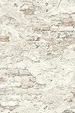 Rasch Tapeten 939316 Vlies Kollektion Factory III