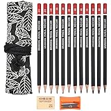 DealKits Bleistift Set, 12 er Pack Skizzierstifte Zeichenstifte Set mit...