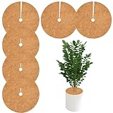 Kokos-Mulchscheibe: 6 Stück Winterschutz Kokos Kübelabdeckung Ø40cm Kokosscheibe...