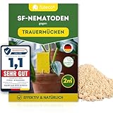 Futeco® – SF-Nematoden (2 Mio.) gegen Trauermücken – für 20 Pflanzen /...