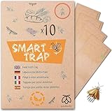 Pestmatic Smarte Mottenfalle x8, Vorratskammer Mottenfänger für die Küche, Pheromon...