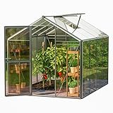 GFP Gewächshaus ECO-Star 4 Alu-Rahmen 192x256 cm 6 mm Doppelstegplatten, mit...