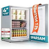 Stillstern Mini Gefrierschrank (42L) -18°C, Eiswürfelschale, Schloss, Türanschlag...