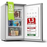 Stillstern Gefrierschrank E (73L) 4-Sterne-Gefrierfach -18°C, geringer...