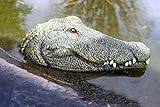 LB H&F Teichfigur Krokodil Kopf Schwimmtier Alligator Dekofigur Gartenfigur 24x12cm...