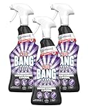 CILLIT BANG Expert Schwarze/Weißer Schimmelreiniger und Hygiene – Wirkstoffe...