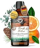 NORDHOLZ® Saunaaufguss [54 Sorten 15ml, 100ml, 250ml] - Sauna Aufgussmittel für...