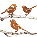 JYUECIAN Vögel Gartenstecker Rost Deko Gartendeko für Draußen, Edelrost Metall Vögel...