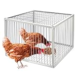 Hühnerfalle Käfig mit ausbruchsicherem Design - Auto Vogelfalle Käfig für Hühner und...