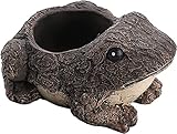 Blumentöpfe, Garten-Pflanzgefäß, Blumentopf, Frosch-Bonsai-Gartentöpfe, 12,7 cm,...