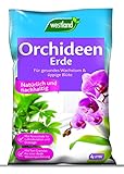 Westland Orchideen Erde, 4 l – Blumenerde für gesundes Wachstum, Pinienrinde und...