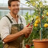 Verstellbare stapelbare Pflanzstäbe, 5 Stück, zur Unterstützung von hohen...