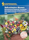 Kiepenkerl Profi-Line Blumensamen-Mischung Balkonkastenblume 3349 - Blühende...