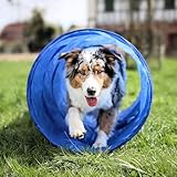 vabiono Hunde Agility Tunnel - Hundetunnel 55x150cm Spieltunnel Agilitytunnel...