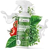 Schachtelhalmspray 1 l | gebrauchsfertig | vorbeugender natürlicher Schutz | Abwehr gegen...