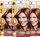 Country Colors Intensiv-Tönung 49 Cognac Haselnuss (3 x 123ml), Stufe 2, temporäre...