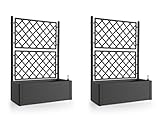 2 Stück XL Rankgitter, Spalier mit Pflanzkasten in moderner Rattan-Optik aus...