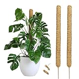 2 Stück 60cm Moosstab Pflanzstab Kokos, Rankhilfe Biegbare Moosstab für...