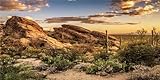 MIRRORANG 120x50cm Reptilien Lebensraum Hintergrund Blauer Himmel Oase Kaktus Sonne und...