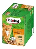 Kitekat Landpicknick in Soße 2X(24x100g)