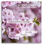 Duftwachs Scentchips Geschenk Set I 12x Aroma Kirschblüte (Blossom) Plastikfrei...