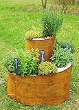 Novaliv Kräuterspirale Naturrost Kräuterschnecke Hochbeet Pflanzenring (51 cm Hoch)