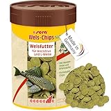 sera Wels-Chips Nature Welsfutter 250 ml | Formstabile Chips für den gesunden Wels wie...