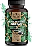Yamswurzel -1000mg je Tagesdosis- WICHTIG: 10:1 Extrakt (=10000mg mex. Wild...