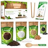 Flaschengarten Komplettset zum Schaffen EIN Ökosystem im Glas - Terrarium Starter Kit zum...