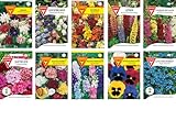 Blumen Samen Set: Sommerblumen-Paket / 10 verschiedene Sommerblumensorten/bunte...