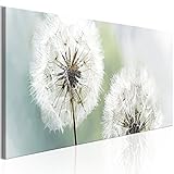 murando Akustikbild Pusteblume Bilder Akustikschaum Hochleistungsschallabsorber...