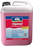Söll 80427 AlgoSol, 5 l - hocheffektive Teichpflege gegen Algen im Teich -...