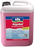 Söll 80427 AlgoSol, 5 l - hocheffektive Teichpflege gegen Algen im Teich -...