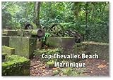 Sugar Cane Factory Ruins near Cap Chevalier Beach – Martinique Excursions Ideas –...
