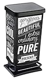 Rotho Paso Mülleimer 40l mit Pedal und Deckel, Kunststoff (PP) BPA-frei, hipster, 40l...