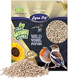 Lyra Pet® | 25 kg Sonnenblumenkerne Geschält | Vogelfutter für das Ganze Jahr | Premium...