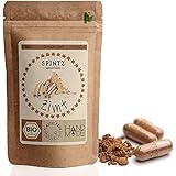 SPINTZ 130 Stk. Bio Ceylon Zimt Kapseln - vegane Zimt Kapseln hochdosiert - 500mg Ceylon...