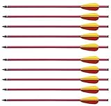 G8DS 10 Aluminium Pfeile 16'' Armbrust-Pfeil Armbrust-Bolzen