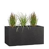 Pflanzwerk® Pflanzkübel TUB Anthrazit 40x80x40cm *Frostbeständiger...