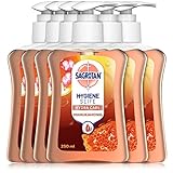 Sagrotan Handseife mit frischem Duft nach Mandelblüten und Manukahonig – Hygienische...