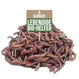 Natursache Kompostwurm-Mix 250 STK./Box + E-Book I Mit 3 Arten lebenden Kompostwürmer I...