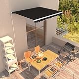 Haus & Garten - Manuelle einziehbare Markise 300x250 cm Größe Anthrazit