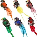 Diyxisk künstliche Deko Vögel, Osterdeko Geschenk, Vogel im 6 Stücke Pack,...