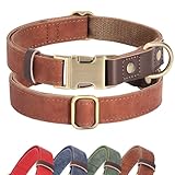 Didog Weiches gepolstertes Lederhalsband für große Hunde, klassisches...