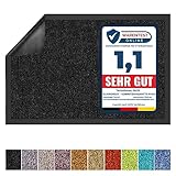 Floordirekt Schmutzfangmatte Rhine - waschbare & leistungsstarke Fußmatte -...