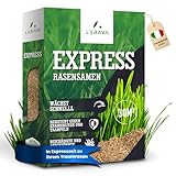 LERAVA® EXPRESS Rasensamen schnellkeimend frühjahr (30m²) - Premium Samen...