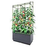 Bio Green Pflanzkübel CITYJUNGLE | Hochbeet für Balkon und Terrasse | Wasserspeicher und...