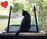 Premium Fensterplatz für die zufriedene Katze Katzenliege 360° Ausblick...