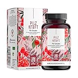 NATURTREU® Pilzkraft 120 Kapseln Pilz Komplex hochdosiert mit Hericium...